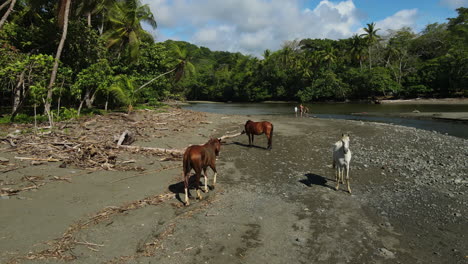 Tranquil-riverbank-scene-featuring-equines-and-scattered-driftwood.