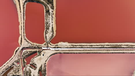 Birds-eye-perspective-of-Salin-du-Midi's-mesmerizing-pink-salt-flats.