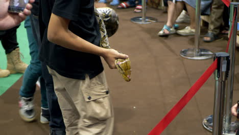 Snake-handlers-holding-a-full-grown-Burmese-Python,-Python-bivittatus-and-showing-it-to-the-snake-show-audience-in-a-zoo-in-Bangkok,-Thailand