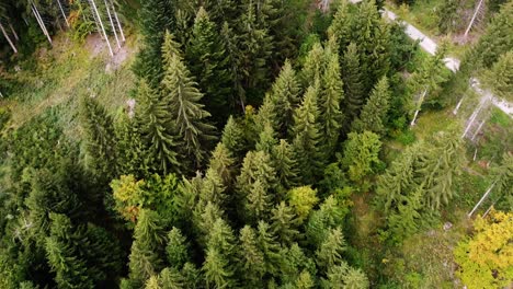 Luftwanderweg,-Der-Durch-Einen-Grasbewachsenen-Berghang-Mit-Waldbäumen-In-Den-Alpen,-Innsbruck,-Österreich,-Führt