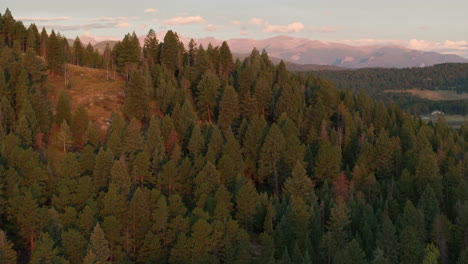 Filmischer-Drohnenhubschrauber-Aus-Der-Luft,-Erster-Schnee-Auf-Dem-Denver-Mount,-Blauer-Himmel,-Evans-14er-Peak,-Frühherbst,-Herbst,-Wunderschöner-Goldgelber-Morgen,-Sonnenaufgang,-Tag,-Colorado,-Rocky-Mountains,-Langsam-Offenbaren-Sich-Nach-Vorne