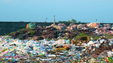 Mülldeponie-Mit-Müllhaufen-Und-Fliegenden-Vögeln