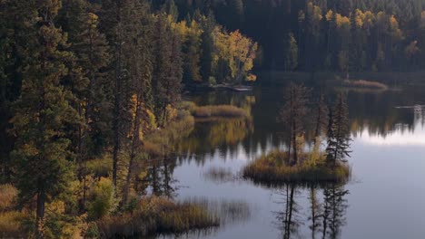 Ein-Farbteppich-Am-Isobell-Lake:-Espenbäume,-Kiefernwald-Und-Wasserspiegelungen-Im-Herbst