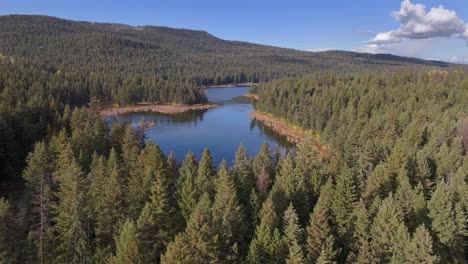 Malerische-Luftaufnahmen-Des-Verzauberten-McQueen-Lake-In-British-Columbia:-Ein-Unberührter-Fichtenwald,-Der-Das-Ruhige-Wasser-Umgibt