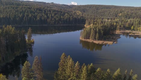 Oberhalb-Des-McQueen-Lake:-Ein-Faszinierender-Blick-Aus-Der-Luft-Auf-Die-Schönheit-Der-Natur-Mit-Einem-Fichtenwald-In-British-Columbia