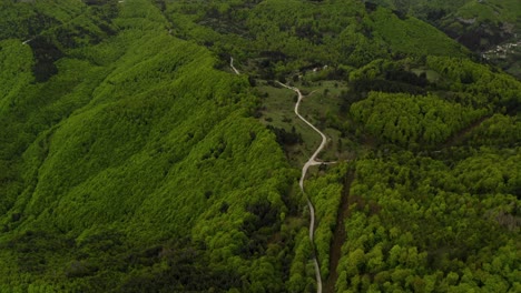 Aerial-shot-of-winding-road-in-the-middle-of-jungle-in-Stara-Planina,-Bulgaria