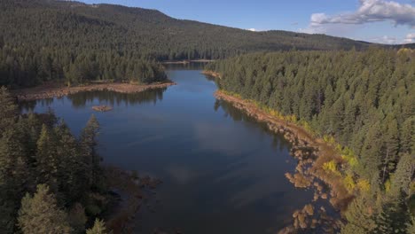 Das-Ruhige-Luftschaufenster-Des-McQueen-Lake:-Ein-Wunderschöner-See-Inmitten-Unberührter-Fichtenwälder-In-British-Columbia