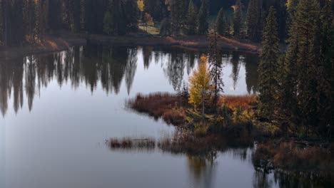 A-Scenic-Canvas:-Isobell-Lake's-Vibrant-Aspen-Trees,-Pine-Forest,-and-Water-Reflections-in-Autumn