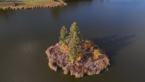 Gelassenheit-Auf-Einer-Einsamen-Insel:-Ein-Blick-Aus-Der-Vogelperspektive-Auf-Die-Ruhige-Oase-Von-McQueen-Lake-In-British-Columbia