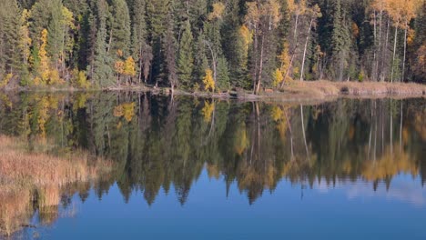 Der-Spiegel-Der-Natur:-Der-Ruhige-See-Spiegelt-Die-Schönheit-Der-Umliegenden-Bäume-Wider