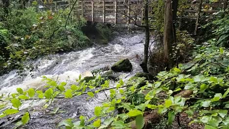Zeitlupe-Eines-Natürlichen-Wasserfalls-Im-Herzen-Der-Grünen-Natur,-Anglesey
