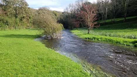 Overflowing-burst-winding-riverbank-flooding-peaceful-saturated-sunlit-North-Wales-meadow