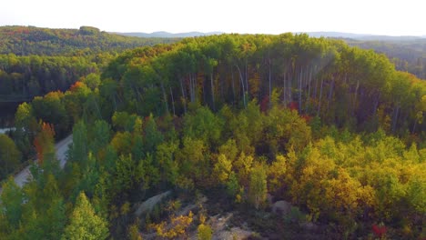 Establishing-aerial-drone-shot-descending-over-the-burnished-treetops-of-a-forest-on-a-beautiful-Autumn-morning-with-a-lens-flare,-Canada
