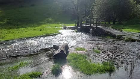 Overflowing-burst-shimmering-riverbank-flooding-peaceful-sunlit-North-Wales-meadow-under-wooden-bridge-crossing