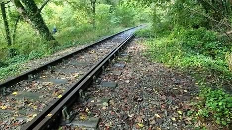 Verrostete,-Unbenutzte-Eiseneisenbahn,-Bedeckt-Mit-Herbstlich-Gefärbten-Blättern-Im-Wald