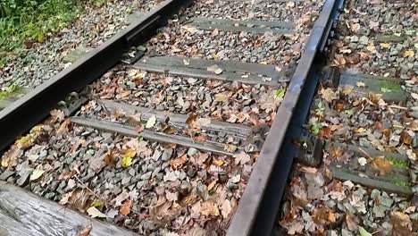 Rusted-unused-iron-railroad-covered-in-colourful-autumn-leaves-in-woodland-forest