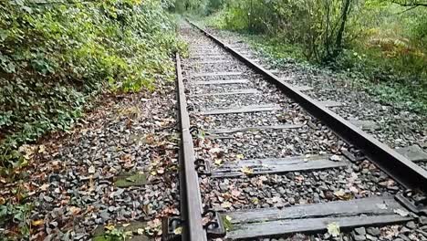 Línea-Ferroviaria-De-Hierro-Oxidado-Sin-Usar-Cubierta-De-Hojas-De-Colores-Otoñales-En-El-Bosque