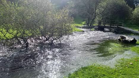 Zeitlupe-überfüllt-Das-Flussufer-Und-überschwemmt-Die-Friedliche,-Sonnenbeschienene-Wiese-Im-Norden-Von-Wales-Und-Untergetauchte-Bäume