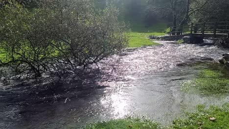 Submerged-trees-in-overflowing-burst-riverbank-flooding-peaceful-sunlit-North-Wales-meadow,-slow-motion