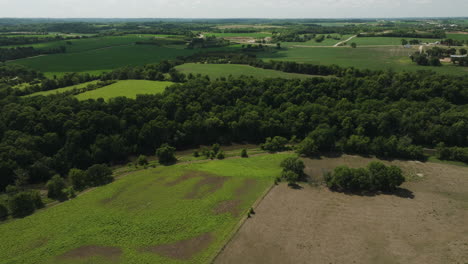 Summer-farmfields-seen-from-above