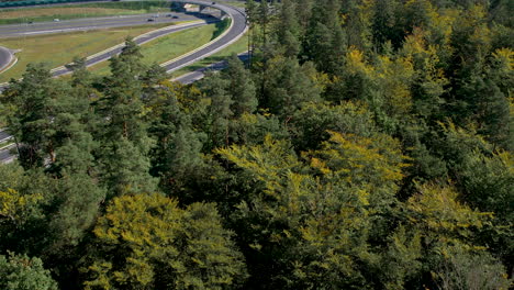 Flying-Over-The-Dense-Forest-To-The-Highway-With-Traffic-In-Daytime