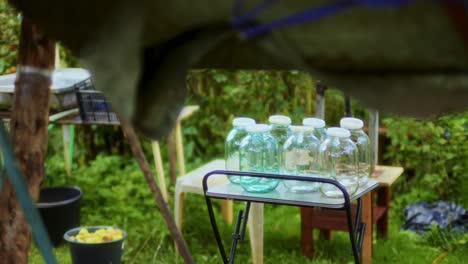 Leere-Glasflaschen-Im-Garten-Der-Apfelweinverarbeitungsumgebung