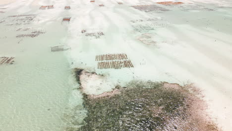 Areal-view-of-Seaweed-farms-in-shallow-coastal-waters-from-above