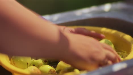 Macro-of-a-Woman-Washing-Green-Apples-in-a-Yellow-Bucket-in-a-Sunny-Day