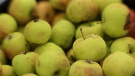 Makro-Von-Grünen-Wilden-Äpfeln