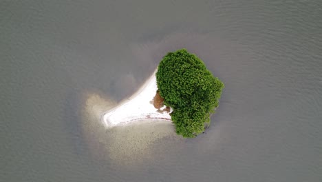 Aerial-drone-bird's-eye-view-over-tiny-Navigator-Island,-Mandinga-Lagoon,-Veracruz,-Mexico-at-daytime