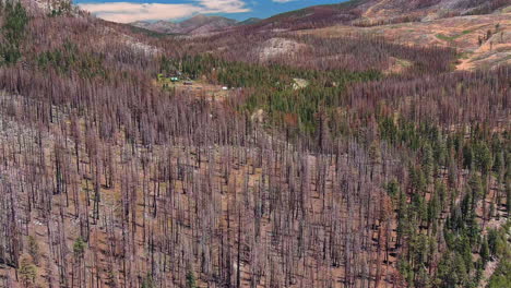 The-Eldorado-Forest-in-recovery-2-years-after-2021-fire-that-burned-200,000-acres---aerial-flyover