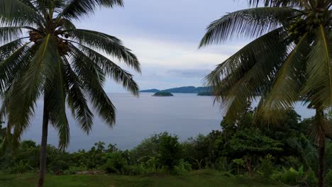 Tropisches-Paradies:-Ein-Atemberaubender-Umgekehrter-Vertikaler-Drohnenflug-Zwischen-Zwei-Palmen-Auf-Der-Insel-Phuket-In-4K