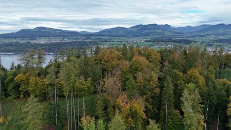 Lago-De-Zurich-En-Suiza