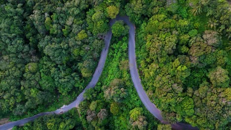 Vertical-drone-flight-over-a-curved-road,-traveled-by-scooters,-in-the-topical-forest-with-green-palms-and-trees-in-4K-on-Phuket-island
