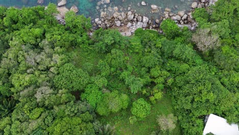 Tropisches-Paradies:-Ein-Atemberaubender-Vertikaler-Drohnenflug-über-Die-Steinküste,-Die-Grünen-Wälder-Und-Das-Blaue-Wasser-Der-Insel-Phuket-In-4K