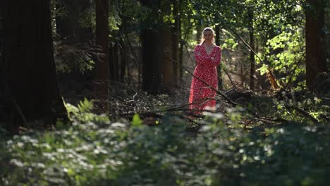 A-woman-in-a-red-dress-stands-in-the-sunlit-opening-in-the-dark-forest