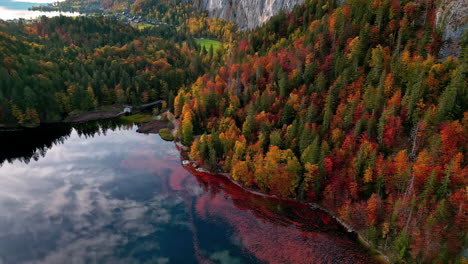 Aerial-view-of-Lake-Toplitz-dense-autumn-foliage-in-the-mountain-forest-of-Austrian-Alps,-Europe