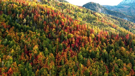 Luftdrohnenaufnahme-Von-Lebendigem,-Farbenfrohem-Berglaub-Und-Bäumen-Im-Herbst