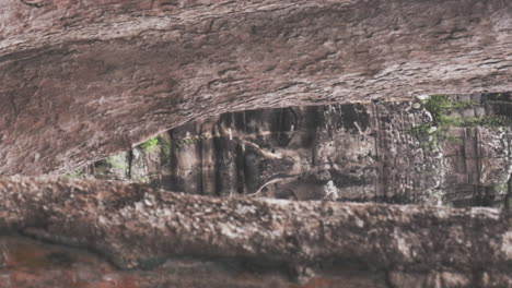 Buddha-face-reveal-between-trees