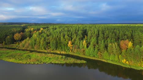 Sunny-autumn-forest-background-next-to-lake-drone-movement-forward