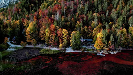 Drone-Pull-Back-View:-Cabin-Amidst-Lakeside-Autumn-Forest