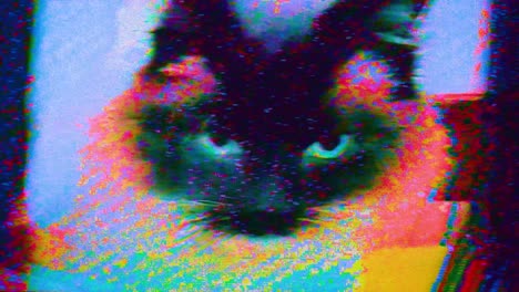 Texture-Glitch-kitty-cat-Retro-Noise-Pattern-Siamese-Cat
