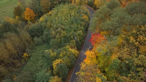 A-bird's-eye-view-of-a-car-driving-along-a-winding-road-through-a-colorful-forest-of-autumn-nature
