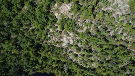 Aerial-top-view:-dense-green-forest-and-rugged-terrain,-Killarney-Provincial-Park