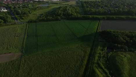 Aerial-View-of-Stunning-Green-Sown-Fields-in-Zeeland,-Netherlands