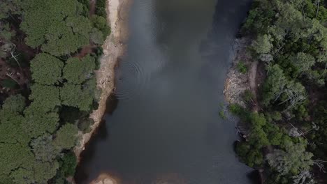 Topdown-view-of-tranquil-lagoon-surrounded-by-vegetation-on-overcast-day,-Sintra-national-park