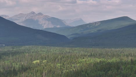 Boreal-forest-trees-stretch-out-across-a-hazy,-smoke-filled-valley-of-the-Alberta,-Canada-Rocky-Mountains