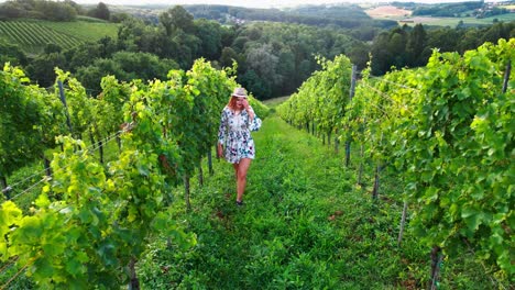 Stunning-drone-footage-of-a-white-Caucasian-woman-with-a-knitted-hat-in-a-dress-walking-through-vineyards-of-Jeruzalem-and-admiring-the-surroundings