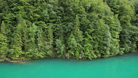 Aerial-view-of-green-trees-besides-blue-water-body-of-Klontalersee-lake