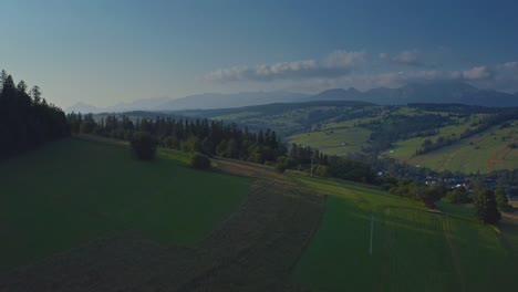 Aerial-View-Of-Vast-Fields-In-Dzianisz-Village-In-Poland---drone-shot